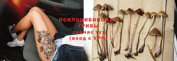 дурь Арсеньев