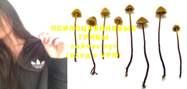 шишки Армянск