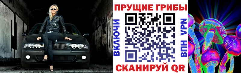 как найти закладки  Миллерово  Псилоцибиновые грибы мухоморы 